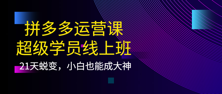 拼多多运营课：超级学员线上班，21天蜕变，小白也能成大神风钥吧-网创项目资源站-副业项目-创业项目-搞钱项目风钥吧