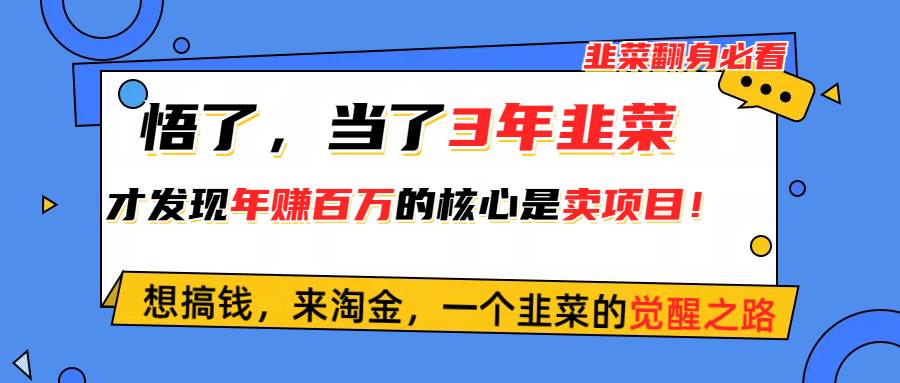 悟了，当了3年韭菜，才发现网赚圈年赚100万的核心是卖项目，含泪分享！风钥吧-网创项目资源站-副业项目-创业项目-搞钱项目风钥吧