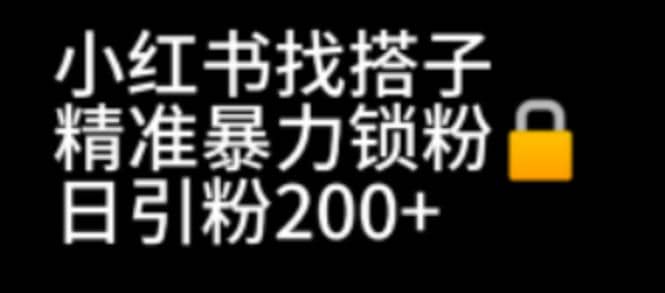小红书找搭子暴力精准锁粉+引流日引200+精准粉风钥吧-网创项目资源站-副业项目-创业项目-搞钱项目风钥吧