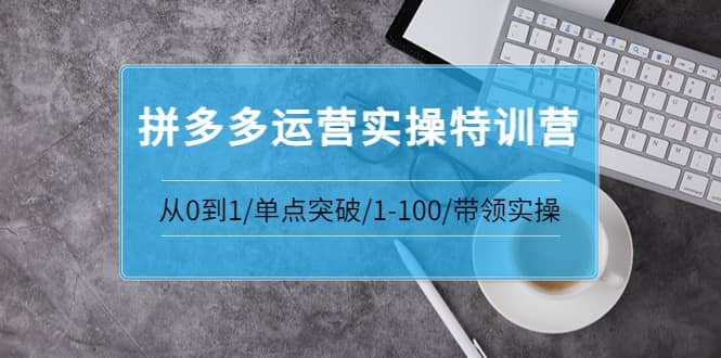 拼多多运营实操特训营：从0到1/单点突破/1-100/带领实操 价值2980元风钥吧-网创项目资源站-副业项目-创业项目-搞钱项目风钥吧