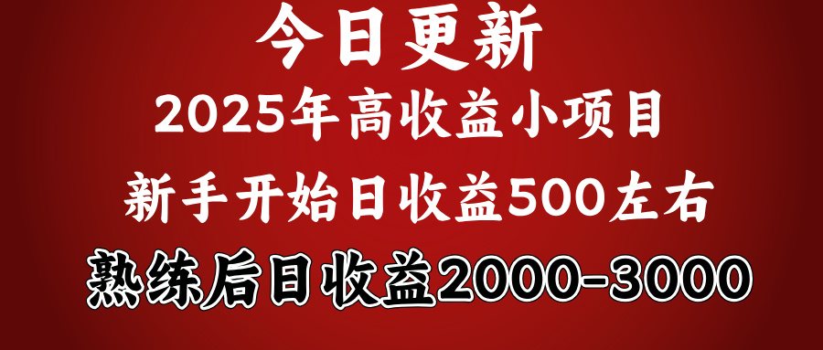 好项目一眼就能看出来，日收益1000，长久可做，2025拼的就是我比你勤奋风钥吧-网创项目资源站-副业项目-创业项目-搞钱项目风钥吧