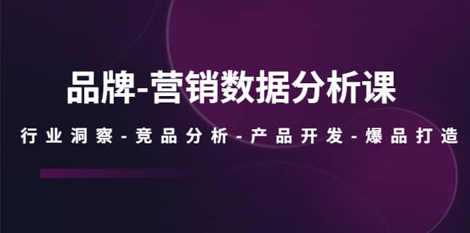 品牌-营销数据分析课，行业洞察-竞品分析-产品开发-爆品打造风钥吧-网创项目资源站-副业项目-创业项目-搞钱项目风钥吧