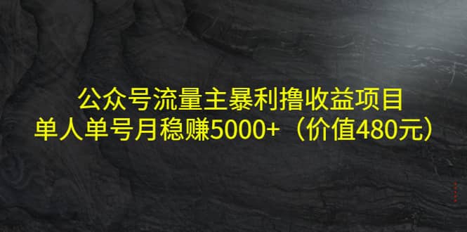 公众号流量主暴利撸收益项目，单人单号月稳赚5000+（价值480元）风钥吧-网创项目资源站-副业项目-创业项目-搞钱项目风钥吧