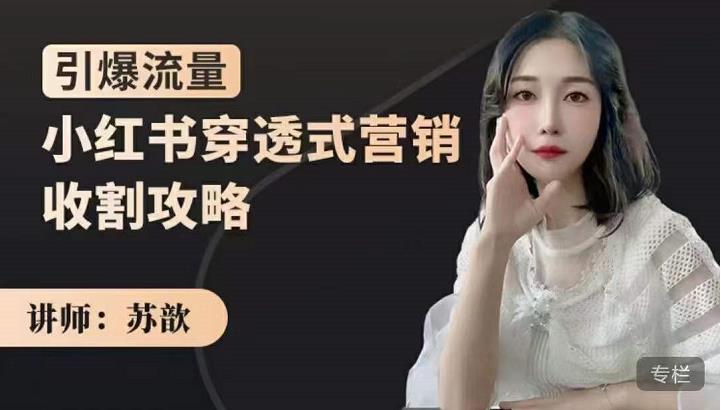 小红书穿透式营销收割攻略，引爆流量，助你玩转小红书风钥吧-网创项目资源站-副业项目-创业项目-搞钱项目风钥吧
