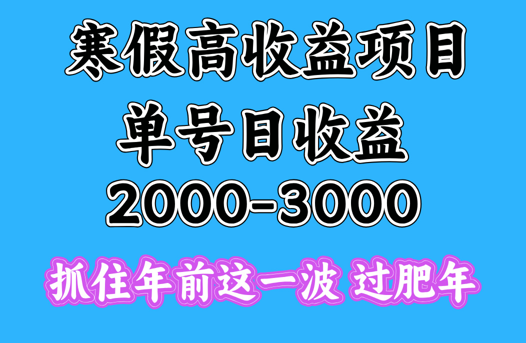 寒假期间一天收益2000-3000+，抓住年前这一波风钥吧-网创项目资源站-副业项目-创业项目-搞钱项目风钥吧