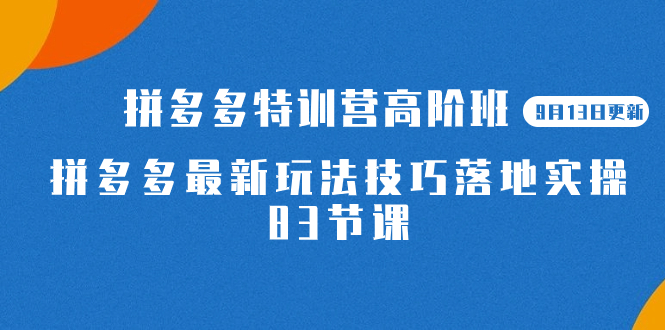2023拼多多·特训营高阶班【9月13日更新】拼多多最新玩法技巧落地实操-83节风钥吧-网创项目资源站-副业项目-创业项目-搞钱项目风钥吧
