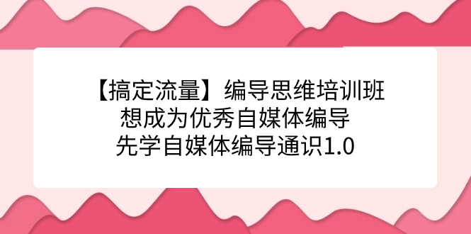 【搞定流量】编导思维培训班，想成为优秀自媒体编导先学自媒体编导通识1.0风钥吧-网创项目资源站-副业项目-创业项目-搞钱项目风钥吧