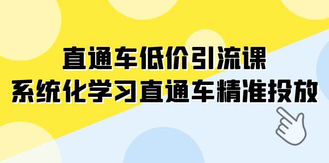 直通车-低价引流课，系统化学习直通车精准投放（14节课）风钥吧-网创项目资源站-副业项目-创业项目-搞钱项目风钥吧