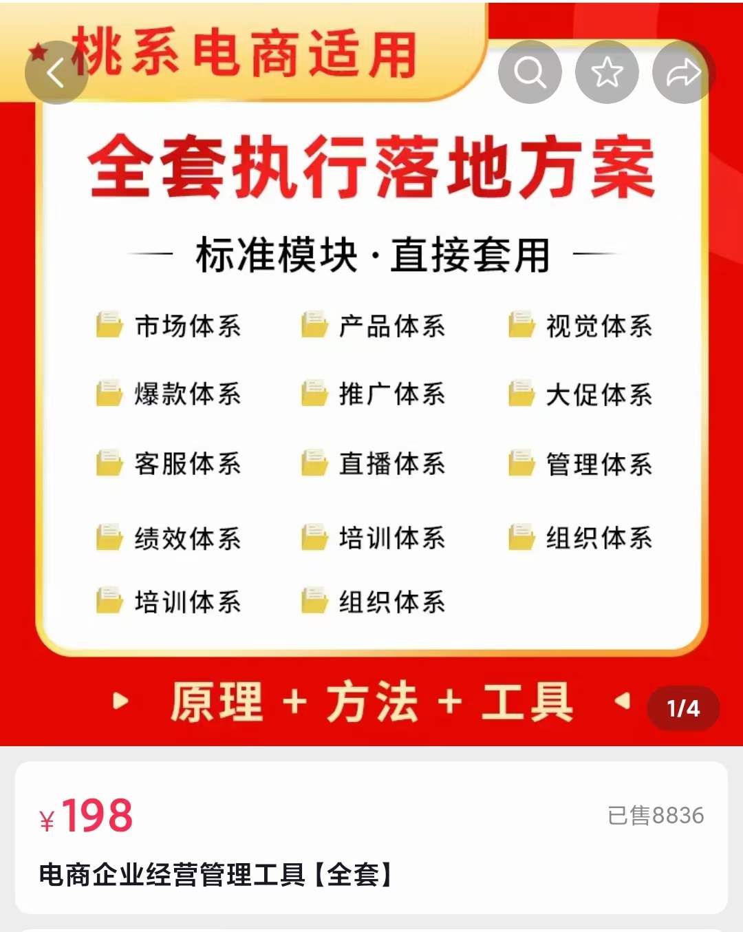 外面卖198·电商企业经营管理工具：全套执行落地方案 标准模块·直接套用风钥吧-网创项目资源站-副业项目-创业项目-搞钱项目风钥吧