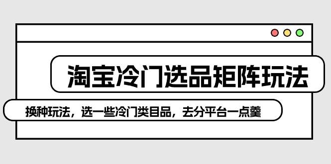 淘宝冷门选品矩阵玩法：换种玩法，选一些冷门类目品，去分平台一点羹风钥吧-网创项目资源站-副业项目-创业项目-搞钱项目风钥吧