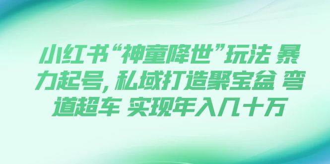 小红书“神童降世”玩法 暴力起号,私域打造聚宝盆 弯道超车 实现年入几十万风钥吧-网创项目资源站-副业项目-创业项目-搞钱项目风钥吧