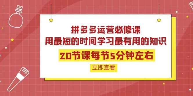 拼多多运营必修课：20节课每节5分钟左右，用最短的时间学习最有用的知识风钥吧-网创项目资源站-副业项目-创业项目-搞钱项目风钥吧