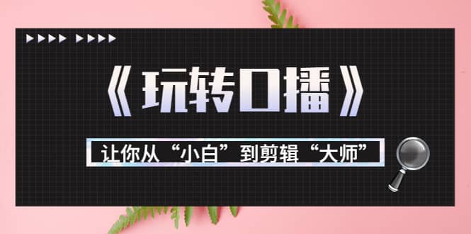 月营业额700万+大佬教您《玩转口播》让你从“小白”到剪辑“大师”风钥吧-网创项目资源站-副业项目-创业项目-搞钱项目风钥吧