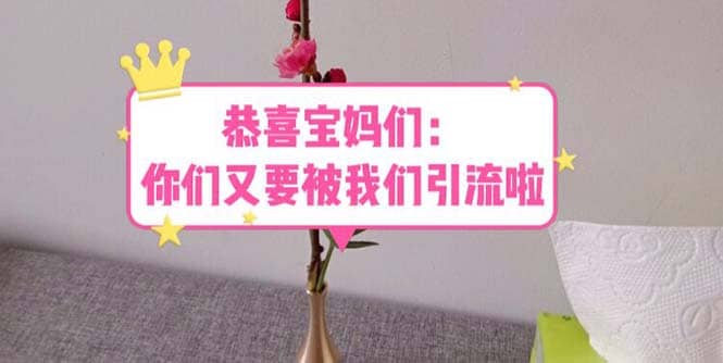 恭喜宝妈们：你们又要被我们引流了（教程+222g资料）风钥吧-网创项目资源站-副业项目-创业项目-搞钱项目风钥吧
