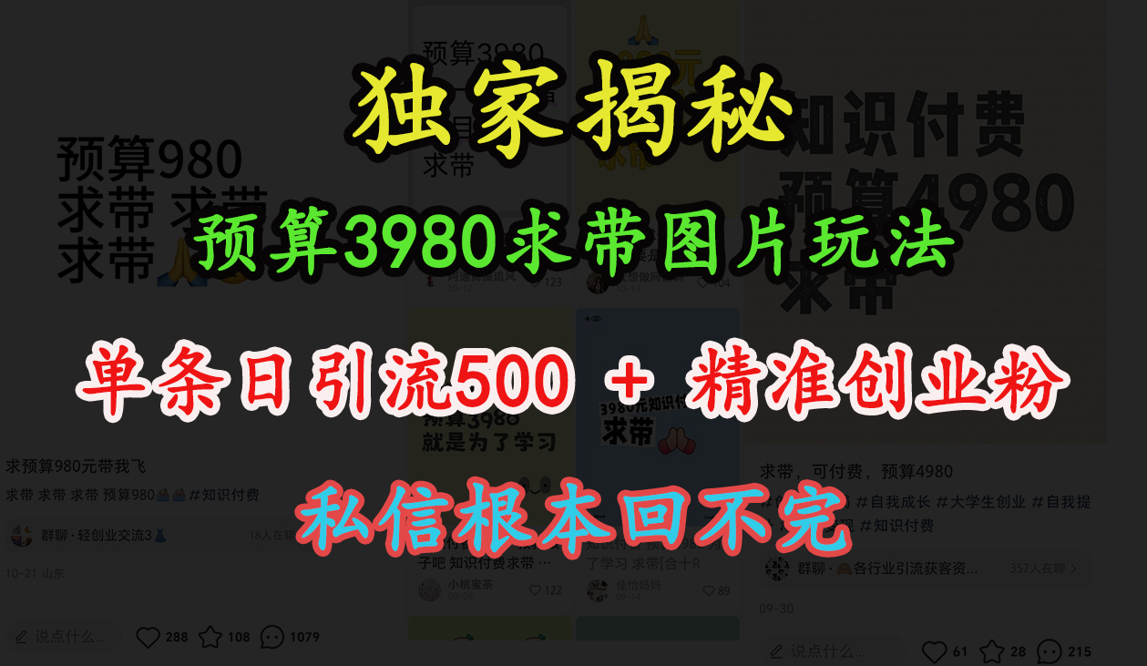 “小红书”预算3980求带 图片玩法，单条日引流500+精准创业粉，私信根本回不完风钥吧-网创项目资源站-副业项目-创业项目-搞钱项目风钥吧