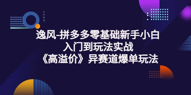 拼多多零基础新手小白入门到玩法实战《高溢价》异赛道爆单玩法实操课风钥吧-网创项目资源站-副业项目-创业项目-搞钱项目风钥吧