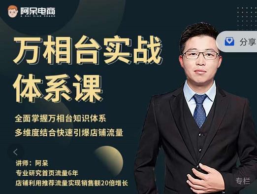 阿呆-万相台实战体系课，帮您全面掌握万相台知识体系风钥吧-网创项目资源站-副业项目-创业项目-搞钱项目风钥吧