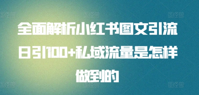 全面解析小红书图文引流日引100私域流量是怎样做到的风钥吧-网创项目资源站-副业项目-创业项目-搞钱项目风钥吧