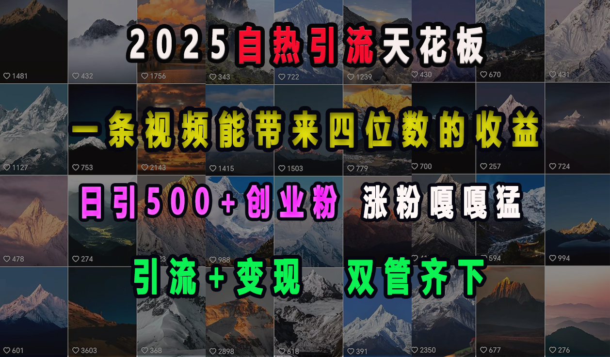 2025自热引流天花板，一条视频能带来四位数的收益，引流+变现双管齐下，日引500+创业粉，涨粉嘎嘎猛风钥吧-网创项目资源站-副业项目-创业项目-搞钱项目风钥吧