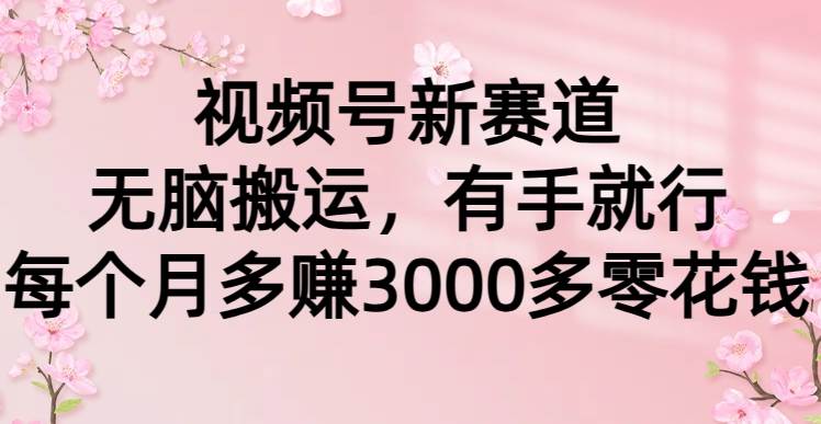 视频号新赛道，无脑搬运，有手就行，每个月多赚3000多零花钱风钥吧-网创项目资源站-副业项目-创业项目-搞钱项目风钥吧