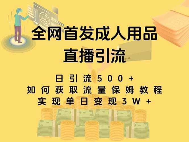最新全网独创首发，成人用品直播引流获客暴力玩法，单日变现3w保姆级教程风钥吧-网创项目资源站-副业项目-创业项目-搞钱项目风钥吧