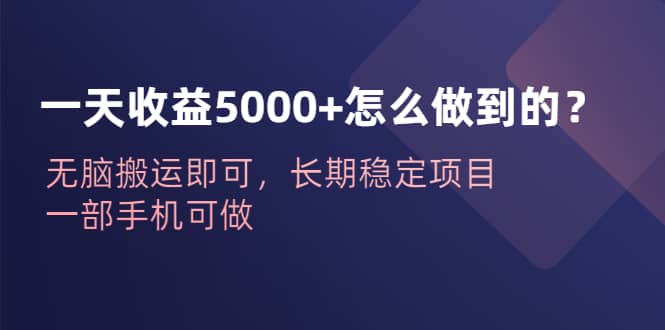 一天收益5000+怎么做到的？无脑搬运即可，长期稳定项目，一部手机可做风钥吧-网创项目资源站-副业项目-创业项目-搞钱项目风钥吧