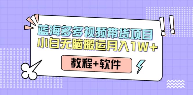 人人都能操作的蓝海多多视频带货项目 小白无脑搬运（教程+软件）风钥吧-网创项目资源站-副业项目-创业项目-搞钱项目风钥吧