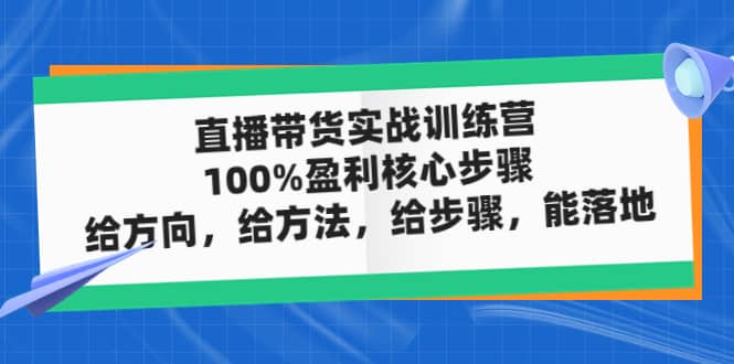 直播带货实战训练营：100%盈利核心步骤，给方向，给方法，给步骤，能落地风钥吧-网创项目资源站-副业项目-创业项目-搞钱项目风钥吧