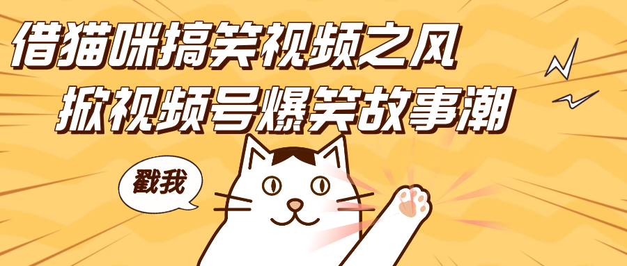 借猫咪搞笑视频之风，掀视频号爆笑故事潮，轻松日赚四位数，开启无门槛赚钱新体验！风钥吧-网创项目资源站-副业项目-创业项目-搞钱项目风钥吧
