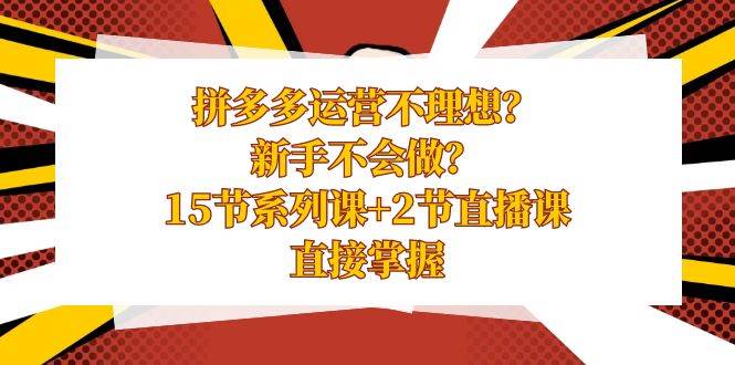 拼多多运营不理想？新手不会做？15节系列课+2节直播课，直接掌握风钥吧-网创项目资源站-副业项目-创业项目-搞钱项目风钥吧