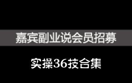 嘉宾副业说实操36技合集，价值1380元风钥吧-网创项目资源站-副业项目-创业项目-搞钱项目风钥吧
