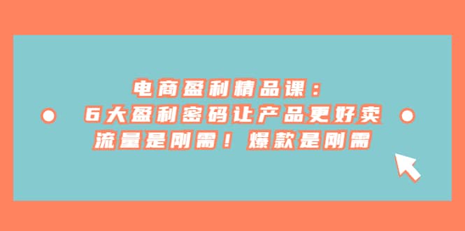 电商 盈利精品课：6大盈利 密码让产品更好卖，流量是刚需！爆款是刚需风钥吧-网创项目资源站-副业项目-创业项目-搞钱项目风钥吧