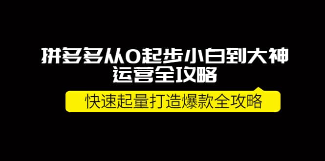 拼多多从0起步小白到大神运营全攻略风钥吧-网创项目资源站-副业项目-创业项目-搞钱项目风钥吧
