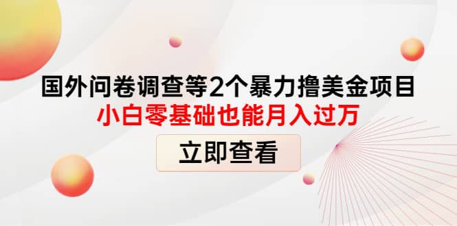 国外问卷调查等2个暴力撸美元项目，小白零基础也能月入过万风钥吧-网创项目资源站-副业项目-创业项目-搞钱项目风钥吧