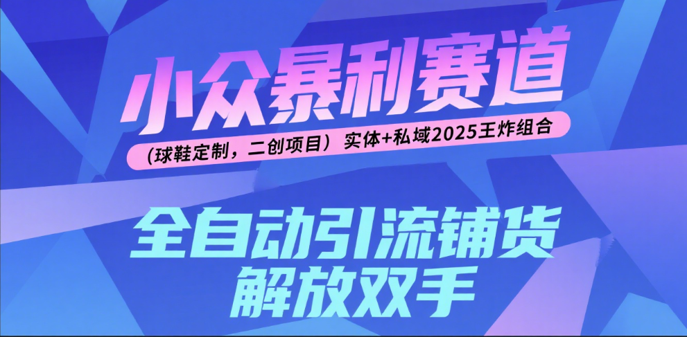 楠—小众暴利赛道（球鞋定制，二创项目）实体+私域2025王炸组合风钥吧-网创项目资源站-副业项目-创业项目-搞钱项目风钥吧