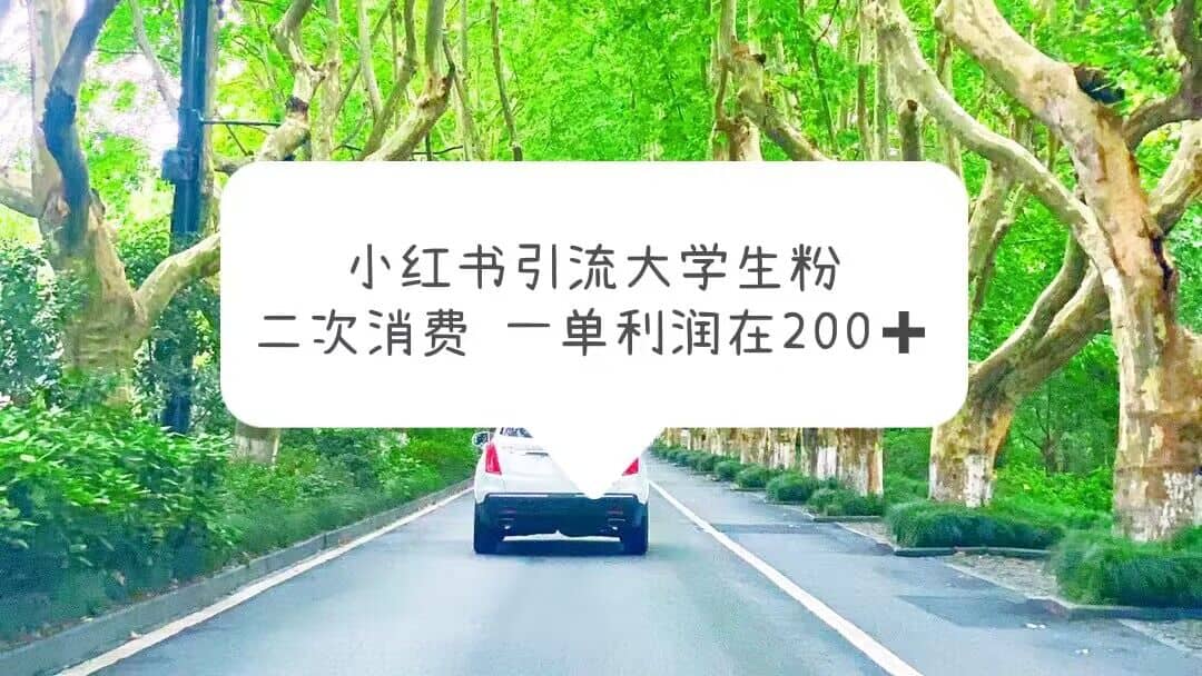小红书引流大学生粉，变现项目，一单利润在200+（教程+资源）风钥吧-网创项目资源站-副业项目-创业项目-搞钱项目风钥吧