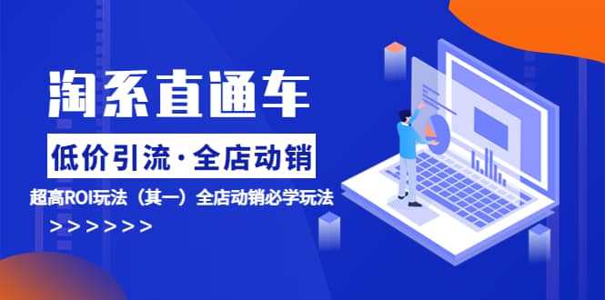 淘系直通车《低价·引流 全店·动销》超高ROI玩法（其一）全店动销必学玩法风钥吧-网创项目资源站-副业项目-创业项目-搞钱项目风钥吧