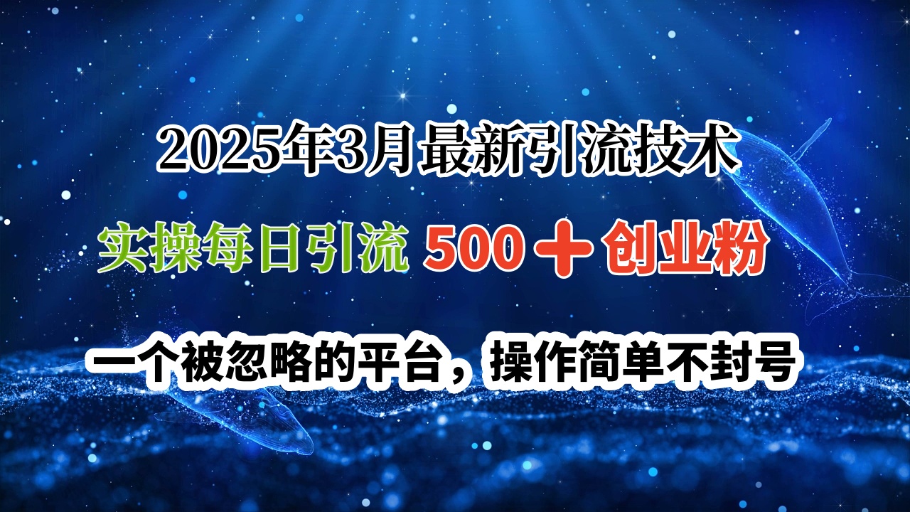 2025年3月最新引流技术，实操每日引流500➕创业粉，一个被忽略的平台，操作简单不封号风钥吧-网创项目资源站-副业项目-创业项目-搞钱项目风钥吧