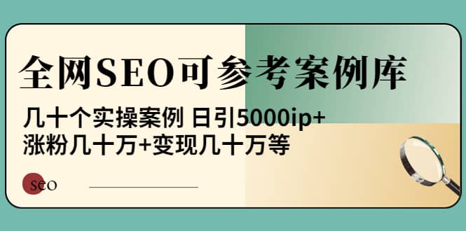 《全网SEO可参考案例库》几十个实操案例风钥吧-网创项目资源站-副业项目-创业项目-搞钱项目风钥吧