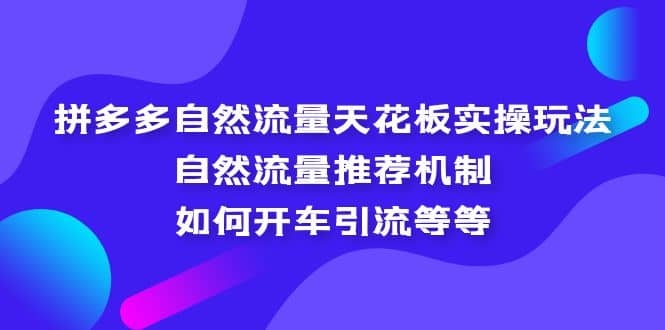 拼多多自然流量天花板实操玩法：自然流量推荐机制，如何开车引流等等风钥吧-网创项目资源站-副业项目-创业项目-搞钱项目风钥吧