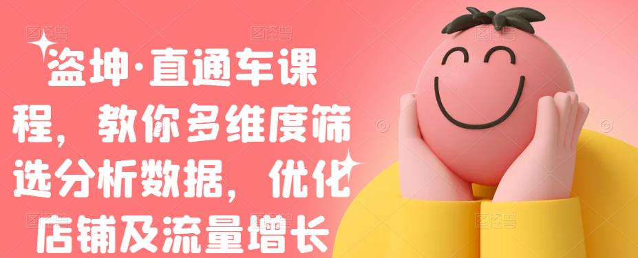 盗坤·直通车课程，教你多维度筛选分析数据，优化店铺及流量增长风钥吧-网创项目资源站-副业项目-创业项目-搞钱项目风钥吧