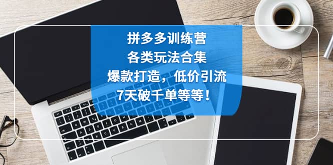 拼多多训练营：各玩法合集，爆款打造，低价引流，7天破千单等等风钥吧-网创项目资源站-副业项目-创业项目-搞钱项目风钥吧