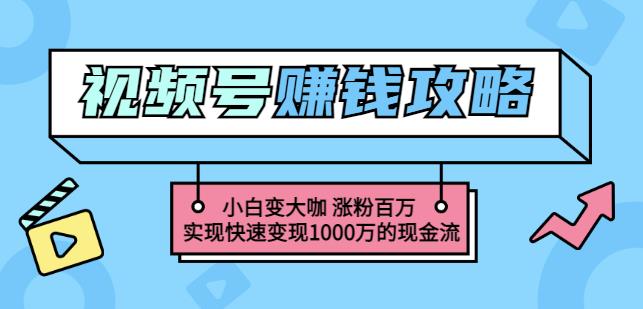 玩转微信视频号赚钱：小白变大咖涨粉百万实现快速变现1000万的现金流风钥吧-网创项目资源站-副业项目-创业项目-搞钱项目风钥吧