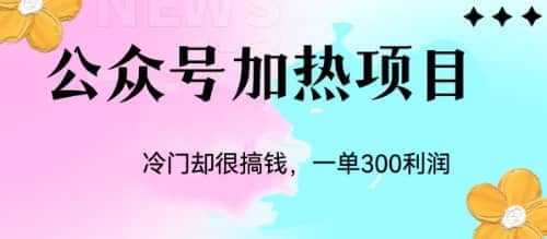 冷门公众号加热项目，一单利润300+风钥吧-网创项目资源站-副业项目-创业项目-搞钱项目风钥吧
