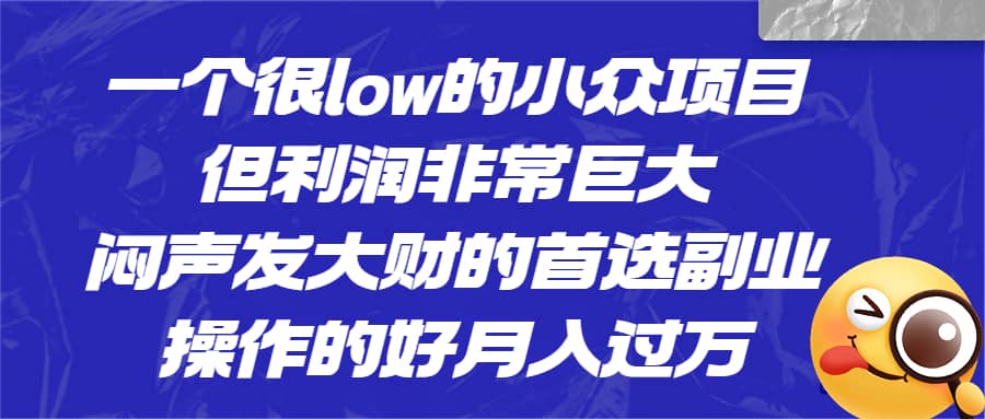 一个很low的小众项目，但利润非常巨大，闷声发大财的首选副业，月入过万风钥吧-网创项目资源站-副业项目-创业项目-搞钱项目风钥吧