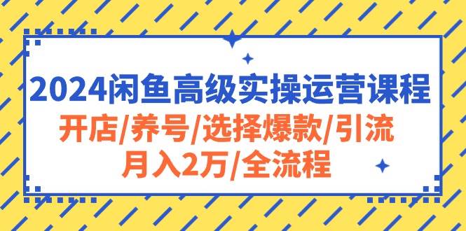 2024闲鱼高级实操运营课程：开店/养号/选择爆款/引流/月入2万/全流程风钥吧-网创项目资源站-副业项目-创业项目-搞钱项目风钥吧