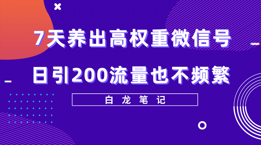 7天养出高权重微信号，日引200流量也不频繁，方法价值3680元风钥吧-网创项目资源站-副业项目-创业项目-搞钱项目风钥吧