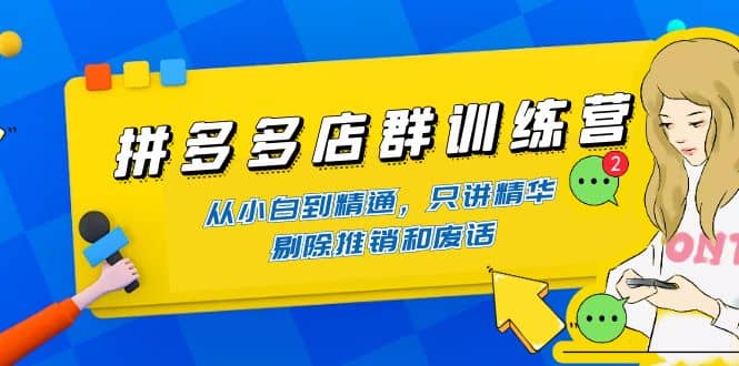 拼多多店群训练营：从小白到精通，只讲精华，剔除推销和废话风钥吧-网创项目资源站-副业项目-创业项目-搞钱项目风钥吧