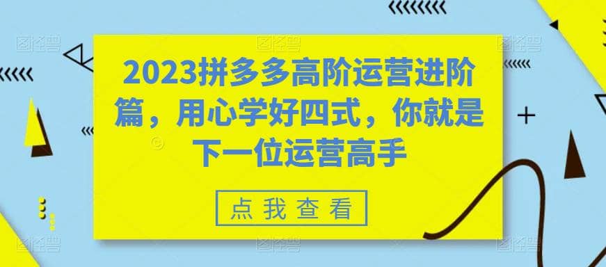 2023拼多多高阶运营进阶篇，用心学好四式，你就是下一位运营高手风钥吧-网创项目资源站-副业项目-创业项目-搞钱项目风钥吧