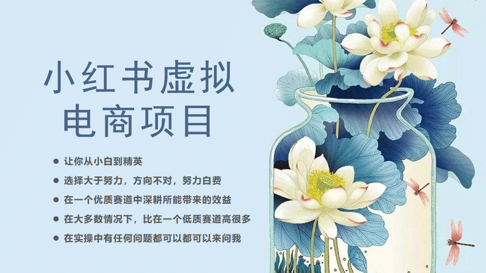 小红书虚拟电商从0到1，让你从小白到精英（20节实操课程）风钥吧-网创项目资源站-副业项目-创业项目-搞钱项目风钥吧